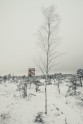 Ķemeru nacionālais parks ziemā - 21