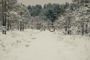 Ķemeru nacionālais parks ziemā - 23