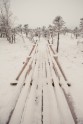 Ķemeru nacionālais parks ziemā - 27