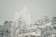 Ķemeru nacionālais parks ziemā - 29