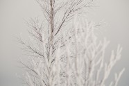 Ķemeru nacionālais parks ziemā - 32