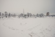Ķemeru nacionālais parks ziemā - 34