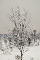 Ķemeru nacionālais parks ziemā - 35