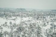 Ķemeru nacionālais parks ziemā - 37
