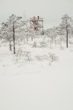 Ķemeru nacionālais parks ziemā - 38