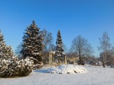 Salaspils botāniskais dārzs ziemā - 12