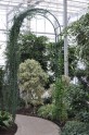 Salaspils botāniskais dārzs ziemā - 16