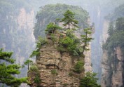 Zhangjiajie National Forest Park - 14
