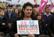 Romā miljoni protestē pret geju laulībām - 11