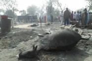 Islāmistu uzbrukums ciematam Nigērijā - 5