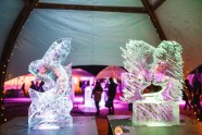 Фестиваль ледовых скульптур в Елгаве - 7