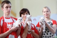 Starptautiskā kaķu izstāde Rīgā 27.-28. februārī - 15
