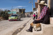 Meksikas WRC rallijs 2016 - 7