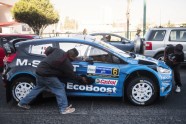 Meksikas WRC rallijs 2016 - 8