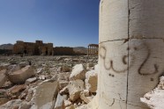 Palmīra pēc atbrīvošanas no 'Daesh"  - 10