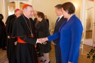 Amatpersonas tiekas ar Vatikāna  valsts sekretāru kardinālu Pjetro Parolins. - 7