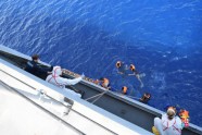 Pie Lībijas krastiem apgāžas migrantu laiva - 12
