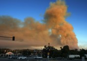 Meža ugunsgrēks Losandželosas piepilsētā Kalabasā - 2