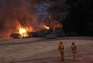 Meža ugunsgrēks Losandželosas piepilsētā Kalabasā - 4