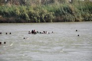 Iedzīvotāji peldus bēg no Fallūdžas - 10