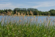 Latvijas upes un ezerus atbrīvo no “Spoku tīkliem” - 17