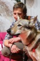 Starptautiskā suņu un kaķu izstāde "Latvijas uzvarētājs" - 16