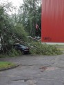 Vētras postījumi Latvijā - 11