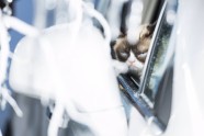 Pasaulē nīgrākais kaķis fotografējas ‘Opel’ kalendāram - 6