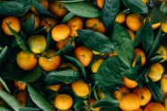 Unsplash stock - 1458 apelsīni, veselīgs uzturs, vitamīni 
