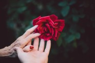 rokas sieviete vecums novecošana roze veselība dzīve