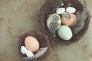 Lieldienas olas veselīgs uzturs veselība