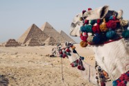 Ēģipte, piramīdas, kamieļi, ceļojums, atpūta