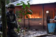 Kolumbikā iznīcina narkotiku ieguves laboratorijas  - 5