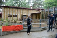 Atklāj surikatu jauno mītni Rīgas zoodārzā - 3