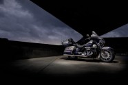 H-D CVO Limited_1