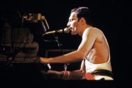 Freddie Mercury - 3