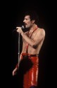 Freddie Mercury - 15