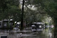 Viesuļvētra "Hermīne" plosa Floridas ziemeļus - 15