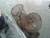 Nelegālie zvejas tīkli - 1