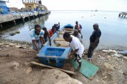 Haiti gatavojas viesuļvētrai "Metjū" - 7