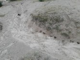 Zirgu ekskrementi Vecāļu pludmales kāpās - 1