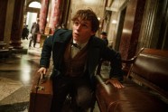 "Fantastic Beasts and where to find them" –publicitātes foto 