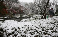 Pirmais sniegs Tokijā - 4