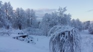 Sigulda ziemā - 14