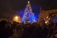 Rīgas Ziemasvētku egle 2013. gadā, Doma laukumā - 1