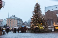 Rīgas Ziemasvētku egle 2013. gadā, Doma laukumā - 10