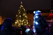 Rīgas Ziemasvētku egle Doma laukumā 2015. gadā - 2