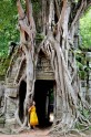Angkora - 6