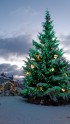 Tukuma Ziemassvētku egle un svētku dekori - 26