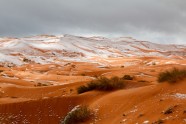 Sahara snowfall - 5